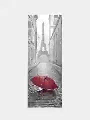 Фотообои "Париж" 1,04Х2,7м