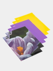 Папка уголок Attache Selection Crocus, А4, 6 штук
