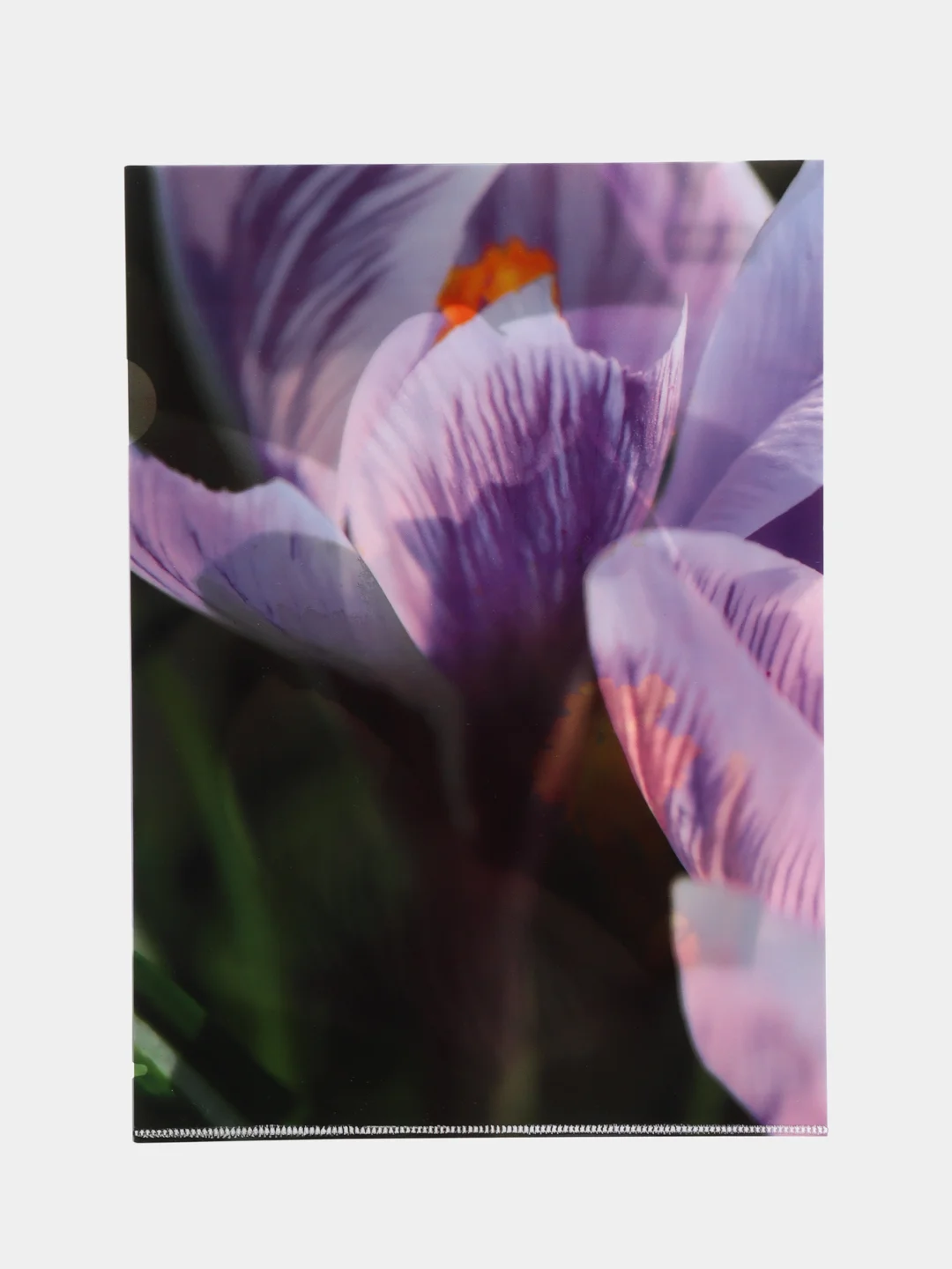 Лавандовый папка уголок Attache Selection Crocus, А4, 6 штук