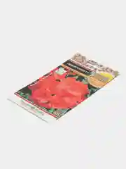 Семена Пеларгония Русский Размер, НК