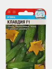 Семена Огурец "Клавдия F1", Сибирский сад, 7 штук