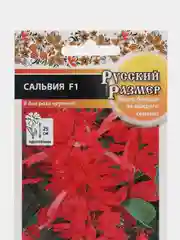 Сальвия Русский размер, НК