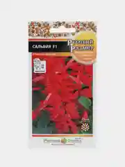 Сальвия Русский размер, НК