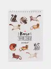 Скетчбук А5 "Кот", 40 листов, 100 г/м