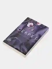 Книга 2 "Секрет. О чем мечтают женщины"