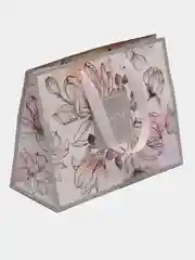 Пакет подарочный "Present for you", 23 х 18 х 10 см