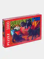 Угольный пазлы 1000 элементов