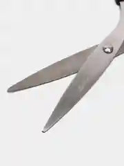 Ножницы BRAUBERG Classic 160 мм
