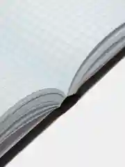 Книга учета 128 листов, А4 200х290 мм, BRAUBERG, клетка, твердая обложка, матовая 130183