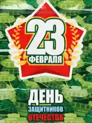 Зеленый пакет подарочный "23 февраля/ 8 марта", полиэтиленовый,с вырубной ручкой, 30 х 40 см, 50мк