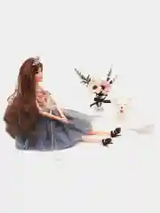 Коричневый кукла с питомцем и аксессуарами. Игровой набор