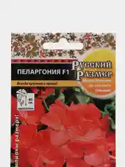 Семена Пеларгония Русский Размер, НК