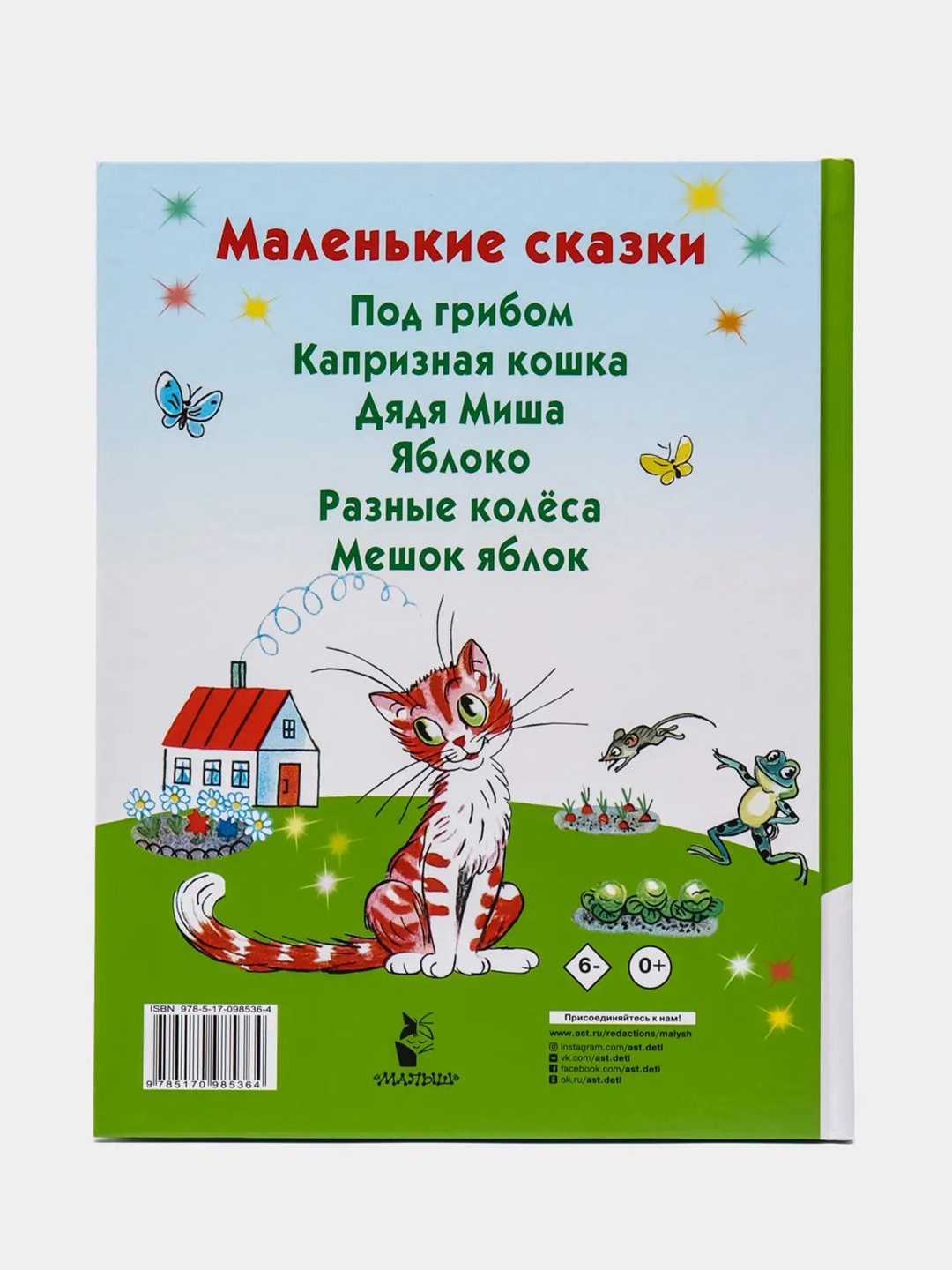 Маленькие сказки. В.Г.Сутеев купить по цене 410 ₽ в интернет-магазине  KazanExpress