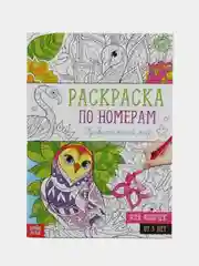 Раскраска по номерам "Удивительный мир", 16 стр., формат А4