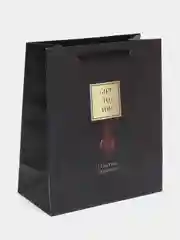 Пакет подарочный "Gift to you", 23 х 27 х 11,5 см