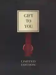 Пакет подарочный "Gift to you", 23 х 27 х 11,5 см