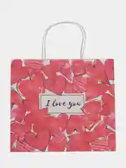 Пакет подарочный I love you, 22 х 25 х 12 см
