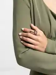 Черный кольцо змея
