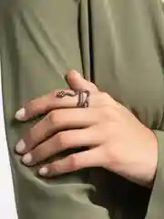 Черный кольцо змея
