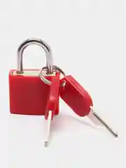 Алый замок навесной для чемодана, 30 х 22 мм