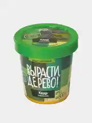 Набор для выращивания растений ВЫРАСТИ ДЕРЕВО!  (банка, грунт, семена)