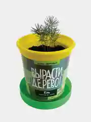 Набор для выращивания растений ВЫРАСТИ ДЕРЕВО!  (банка, грунт, семена)