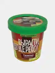 Набор для выращивания растений ВЫРАСТИ ДЕРЕВО!  (банка, грунт, семена)