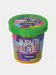 Набор для выращивания растений ВЫРАСТИ ДЕРЕВО!  (банка, грунт, семена)