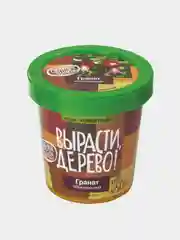 Набор для выращивания растений ВЫРАСТИ ДЕРЕВО!  (банка, грунт, семена)