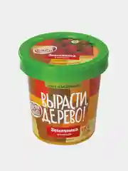 Набор для выращивания растений ВЫРАСТИ ДЕРЕВО!  (банка, грунт, семена)