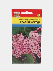 Семена Бадан сердцелистный "Красная звезда", 0,01 г, Урожай удачи
