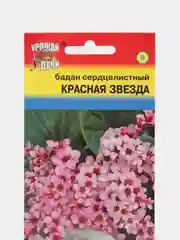 Семена Бадан сердцелистный "Красная звезда", 0,01 г, Урожай удачи