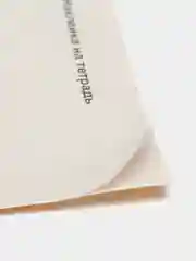 Манго наклейка для тетради, 2 шт, 11*8 см