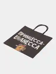 Пакет подарочный крафтовый "Принцесса", 22 х 22 х 11 см