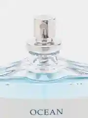 Туалетная вода мужская Ocean Lepard, 100 мл