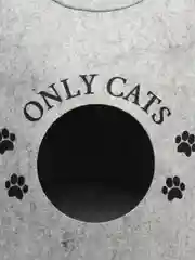 Домик для животных из войлока "ONLY CATS", 46 х 46 х 43 см