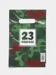 Зеленый пакет подарочный 23 февраля 20х30 см