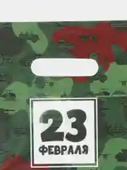 Зеленый пакет подарочный 23 февраля 20х30 см