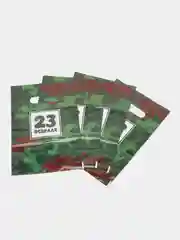 Зеленый пакет подарочный 23 февраля 20х30 см