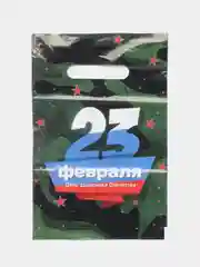 Зеленый пакет подарочный 23 февраля 20х30 см