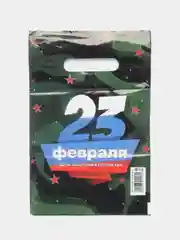 Зеленый пакет подарочный 23 февраля 20х30 см
