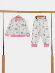 Розовый костюм (комплект) утепленный детский