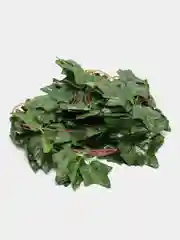 Искусственные цветы для декора "Зеленый плющ - лиана" Лиана