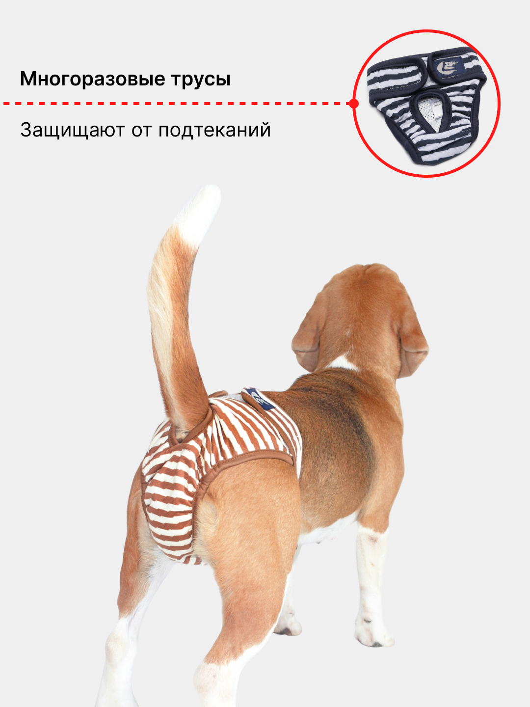 Трусы гигиенические для собак многоразовые на время течки купить по цене  269 ₽ в интернет-магазине KazanExpress