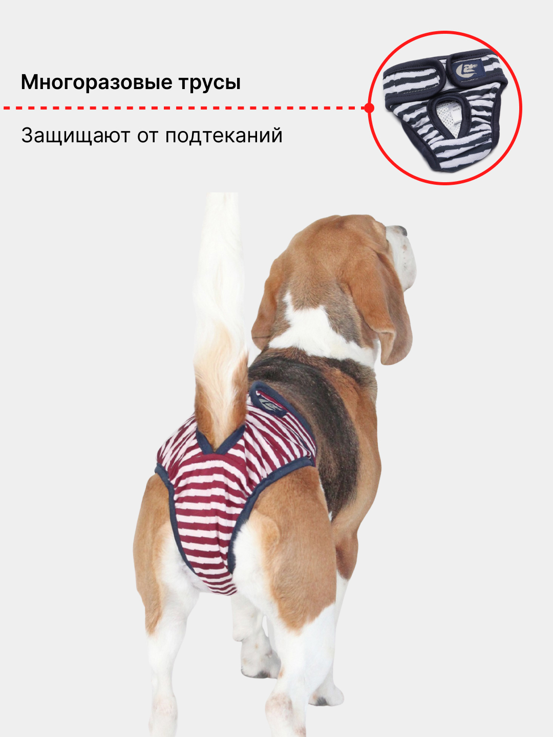 Трусы гигиенические для собак многоразовые на время течки купить по цене  269 ₽ в интернет-магазине KazanExpress