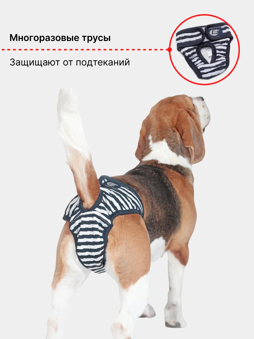 Бордовый трусы гигиенические для собак многоразовые на время течки