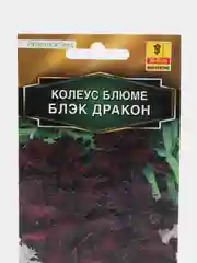 Семена цветов Колеус "Блэк дракон"