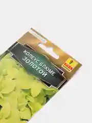 Семена цветов Колеус "Золотой"