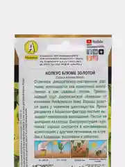 Семена цветов Колеус "Золотой"