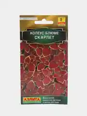 Колеус Блюме Скарлет (семена,цветы)